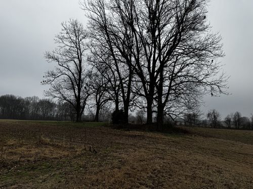 0 Lightfoot Luckett Rd, Ripley, TN, 38063 | Card Image