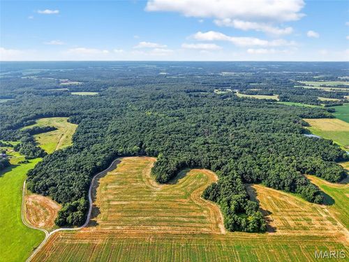 116+/- Acres State Hwy Dd, Bellflower, MO, 63333 | Card Image