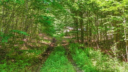 359 Bear Cub Ln, Lake Placid, NY, 12946-3118 | Card Image