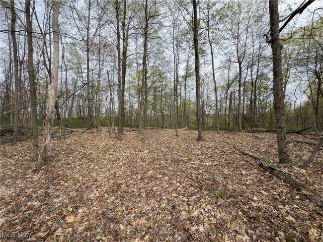 View of landscape featuring a forest view | Image 35