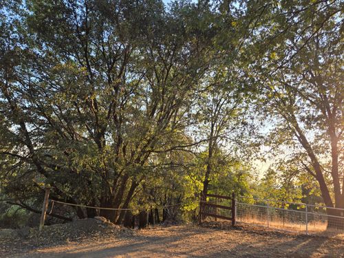 5680 Honeysuckle Cir, Georgetown, CA, 95634 | Card Image