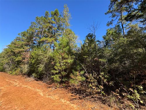 00 Fagan Dr, Livingston, TX, 77351 | Card Image