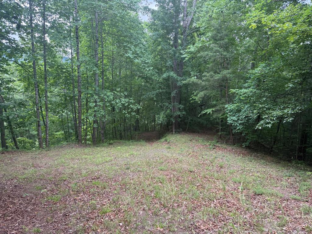 Land in Robbinsville