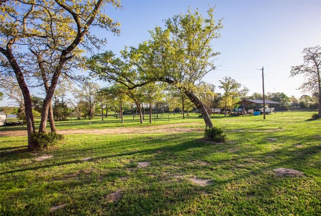 View of green lawn | Image 25