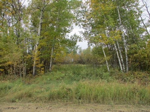 RR 225 Twp Rd 910 Road, Rural Northern Lights, County of, AB, T0H2M0 | Card Image