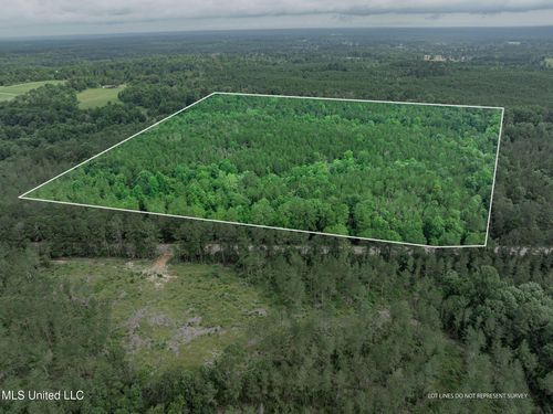 40 Highway 35 S, Mount Olive, MS, 39119 | Card Image
