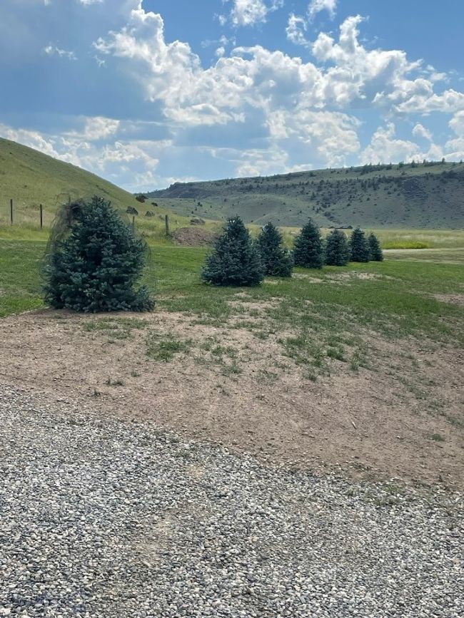 682 E River Rd, House other with 6 bedrooms, 4 bathrooms and null parking in Pray MT | Image 63