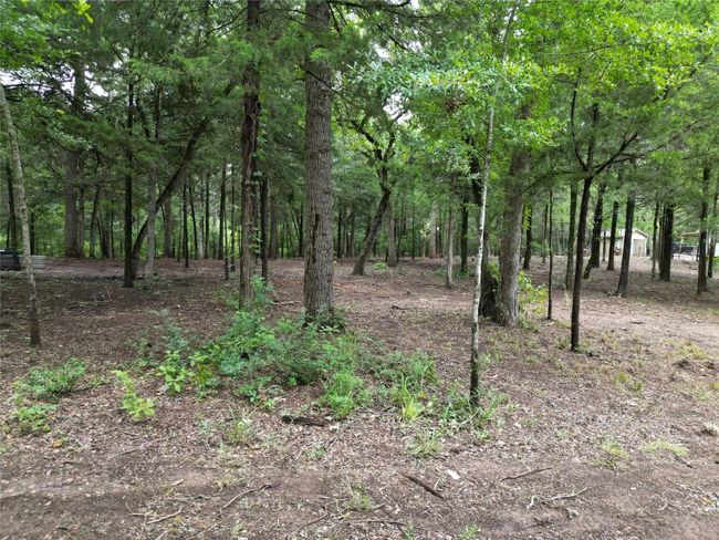 View of wooded area | Image 8