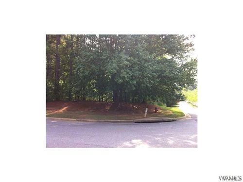152-7001 Audrey Rose Cir, Tuscaloosa, AL, 35406-3203 | Card Image