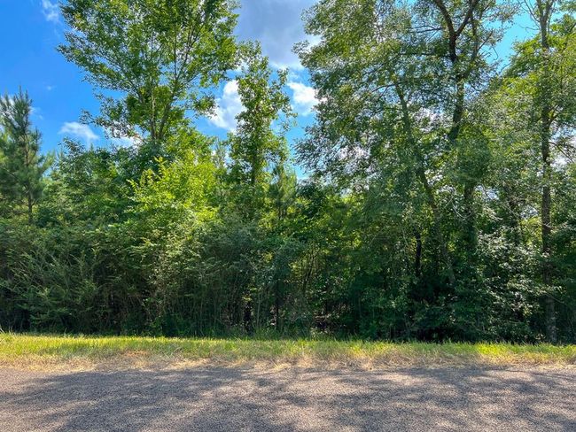 5 State St, Home with 0 bedrooms, 0 bathrooms and null parking in Milam TX | Image 9