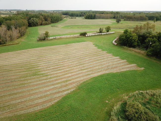 DJI_0112.JPG | Image 17