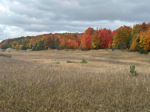 40 Acres S Schomberg, Centerville Township, MI, 49621 | Card Image
