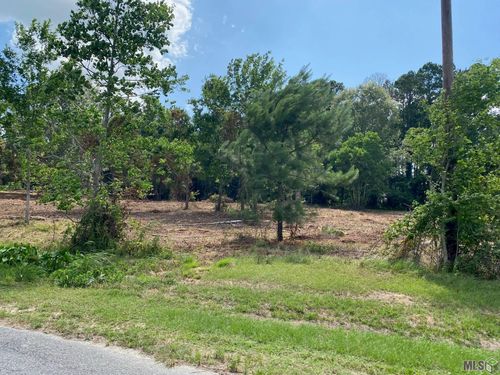 18389 Amite Acres Dr, Prairieville, LA, 70769-6477 | Card Image