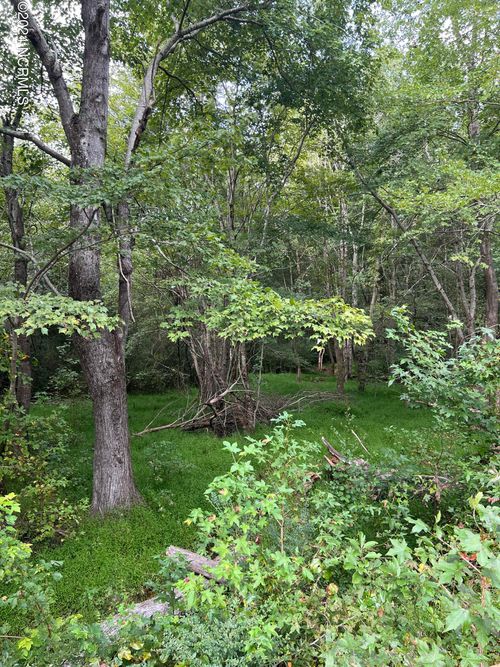 Lot 3 Us Highway 264a, Bailey, NC, 27807 | Card Image