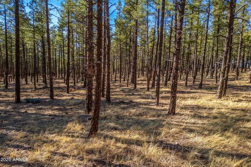 036j-TBD Wilderness Dr, Lakeside, AZ, 85929 | Card Image