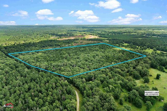 TRACT-3 - TBD Pr 1335, Home with 0 bedrooms, 0 bathrooms and null parking in Marshall TX | Image 9