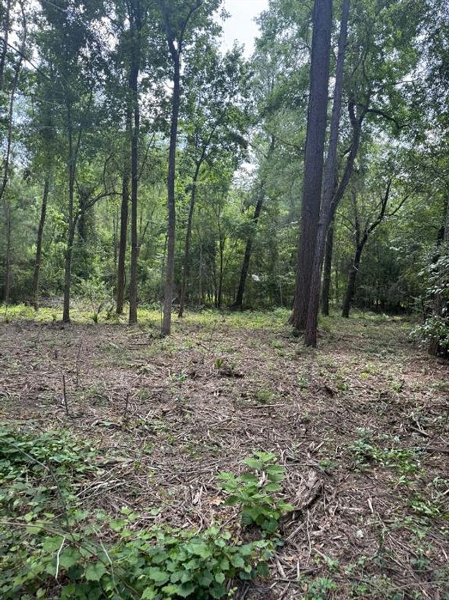 0 Paradise Point Dr, Home with 0 bedrooms, 0 bathrooms and null parking in Willis TX | Image 6