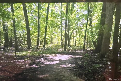 00 Rolling Acres Drive Rolling Acres Drive, Brandon Charter Township, MI, 48462 | Card Image