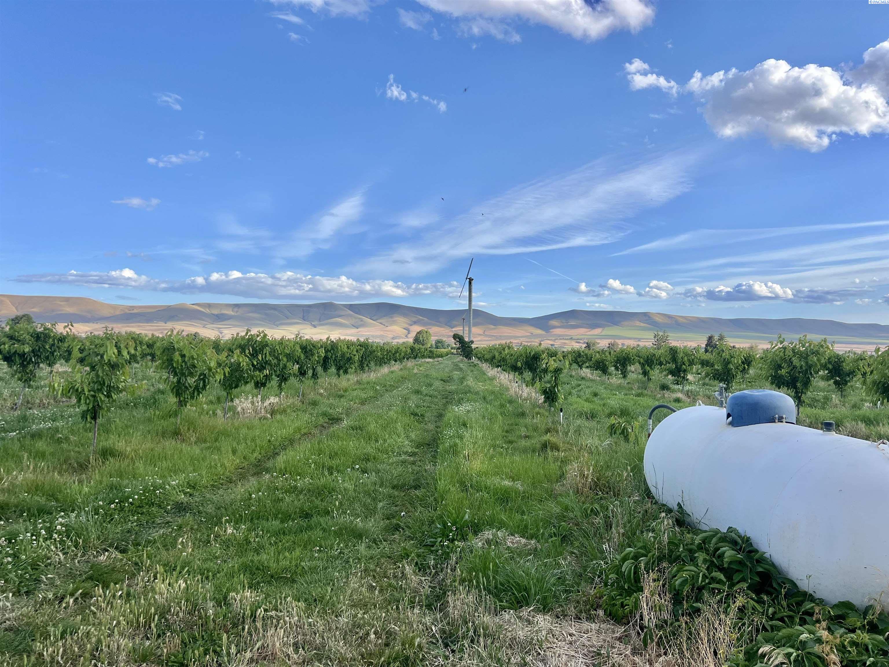 Land in Grandview