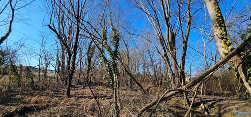 1 +/- Acre Alabama Highway 227, Geraldine, AL, 35974 | Card Image