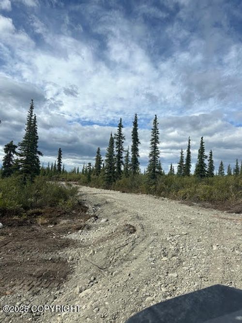 49668 S Timberwolf Rd, Chickaloon, AK, 99674 | Card Image