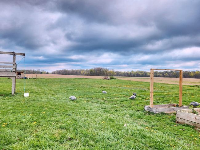 7559 Township Road 87, House other with 3 bedrooms, 1 bathrooms and null parking in Bellville OH | Image 24