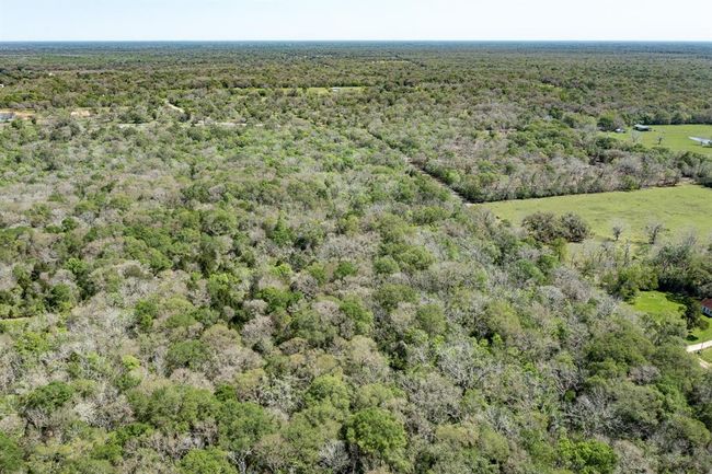 0 County Road 321, Home with 0 bedrooms, 0 bathrooms and null parking in Sweeny TX | Image 11