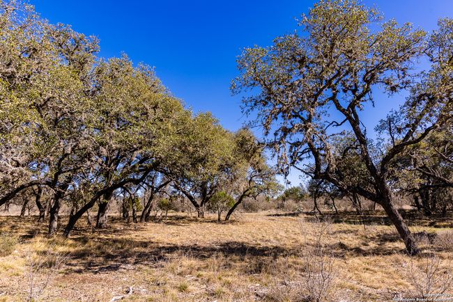 2400 Little Dry Frio Rd, Home with 0 bedrooms, 0 bathrooms and null parking in Rio Frio TX | Image 12