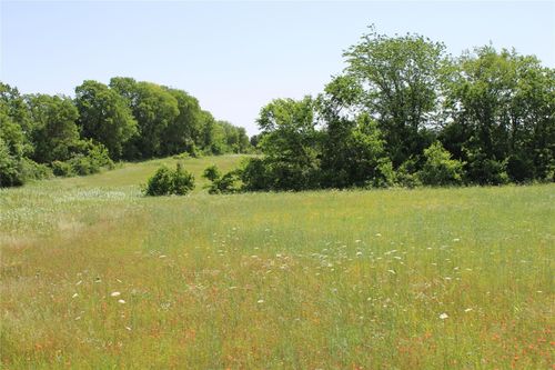 TBD 1233 County Road 3210 Street, Dodd City, TX, 75438 | Card Image