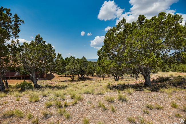 View of local wilderness with rural landscape | Image 7