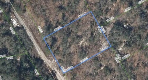 289 Blue Horizon Dr, Lake Placid, FL, 33852 | Card Image