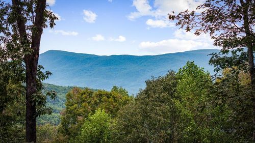 10491 Highway 52, Chatsworth, GA, 30705 | Card Image