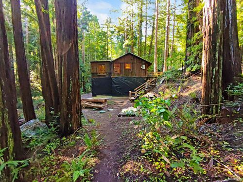 16125 Bittner Rd, Occidental, CA, 95465-9223 | Card Image