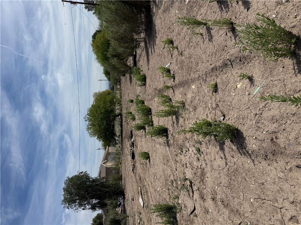 Land in Mohave Valley 4