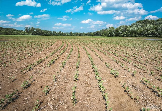 000 Shawneetown Ford Spur Tract C, Home with 0 bedrooms, 0 bathrooms and null parking in Union MO | Image 5