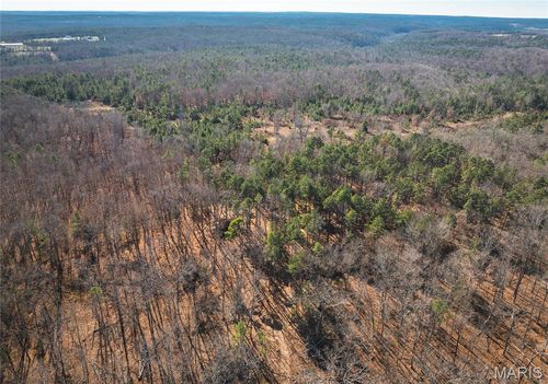 0 Deason Drive-Tract 2, Licking, MO, 65542 | Card Image