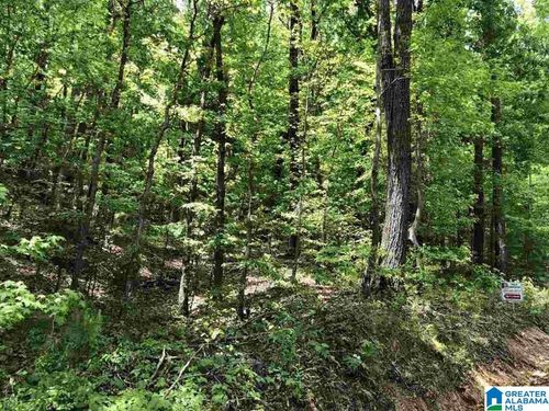 35-35 Tiny Kingdom Rd, Remlap, AL, 35133-4231 | Card Image
