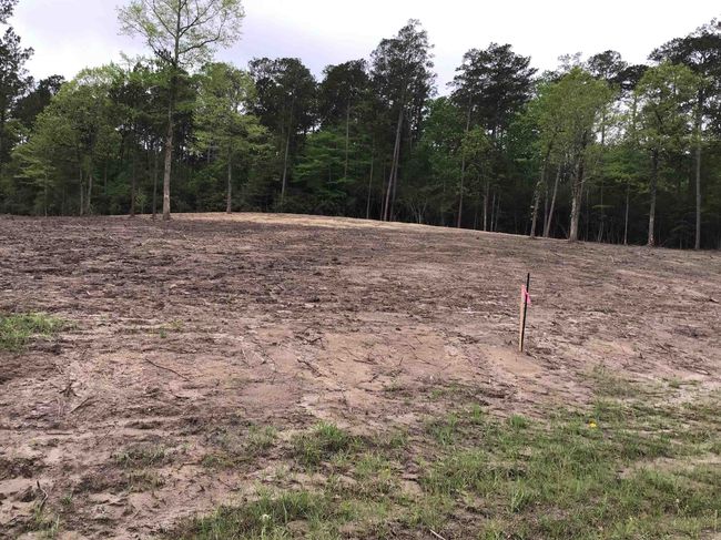 165 Jennifer Ln, Home with 0 bedrooms, 0 bathrooms and null parking in Burkeville TX | Image 7