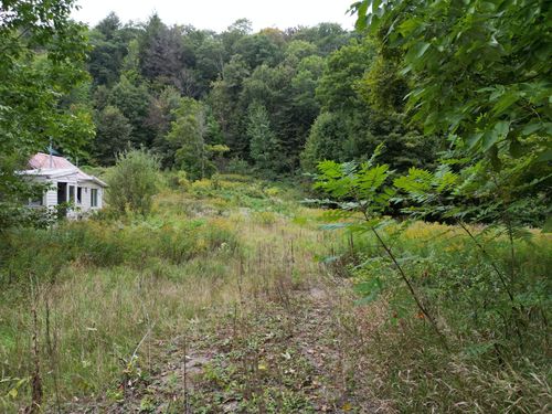 {{alt}} | Card Image