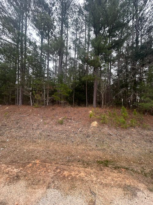 16.9 Ac Ga Highway 220 E, Lincolnton, GA, 30817 | Card Image