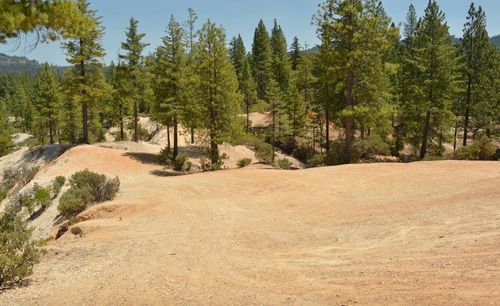 13676 Sailor Flat Rd, Nevada City, CA, 95959 | Card Image