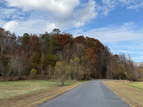 0 Bear Track Way, Del Rio, TN, 37727 | Card Image