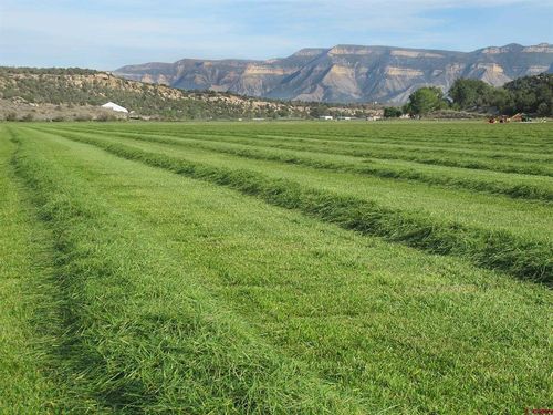 TBD Lot 2 Road G.2, Cortez, CO, 81321 | Card Image