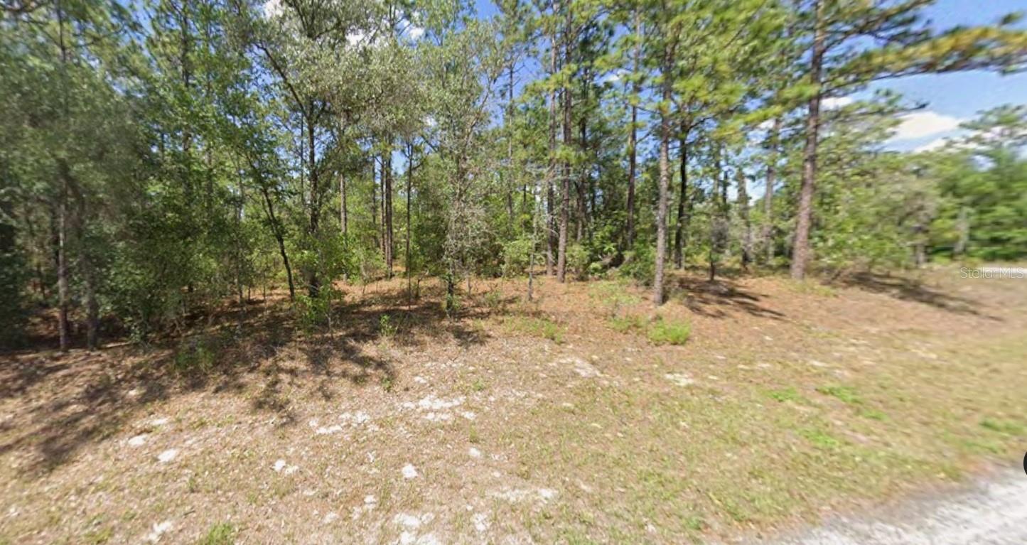 Land in CITRUS SPRINGS 3
