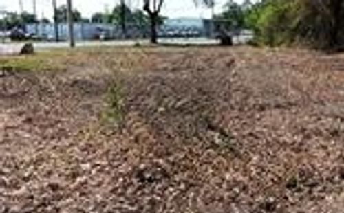 TBD Ne Bascom Norris Dr, LAKE CITY, FL, 32024 | Card Image