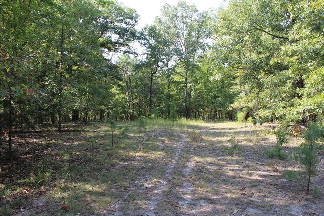 2231 Shady Ridge Road, Home with 0 bedrooms, 0 bathrooms and null parking in Kansas OK | Image 6