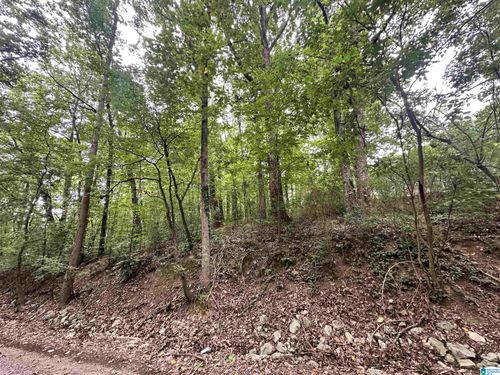 24-LOT 24 Oakhill Dr Nw, Cullman, AL, 35055 | Card Image