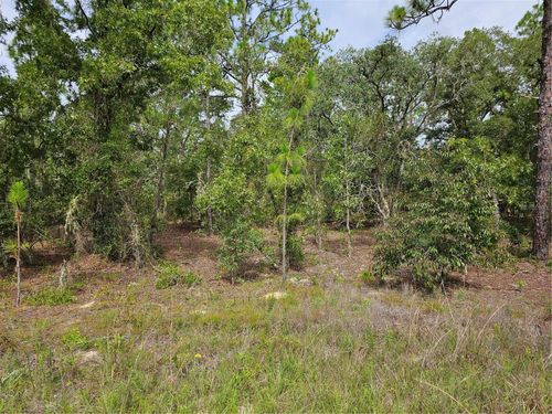 00 Sw 122nd Ave, DUNNELLON, FL, 34432 | Card Image