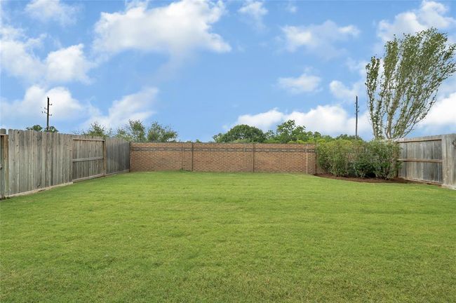 Large Back yard | Image 37