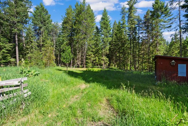 View of yard with a view of trees | Image 28